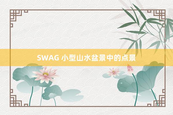 SWAG 小型山水盆景中的点景