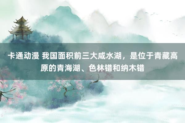 卡通动漫 我国面积前三大咸水湖，是位于青藏高原的青海湖、色林错和纳木错