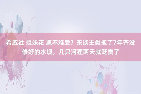 希威社 姐妹花 尴不难受？东谈主类拖了7年齐没修好的水坝，几只河狸两天就贬责了