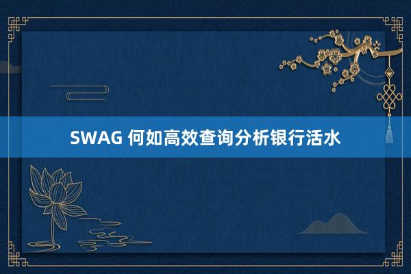 SWAG 何如高效查询分析银行活水